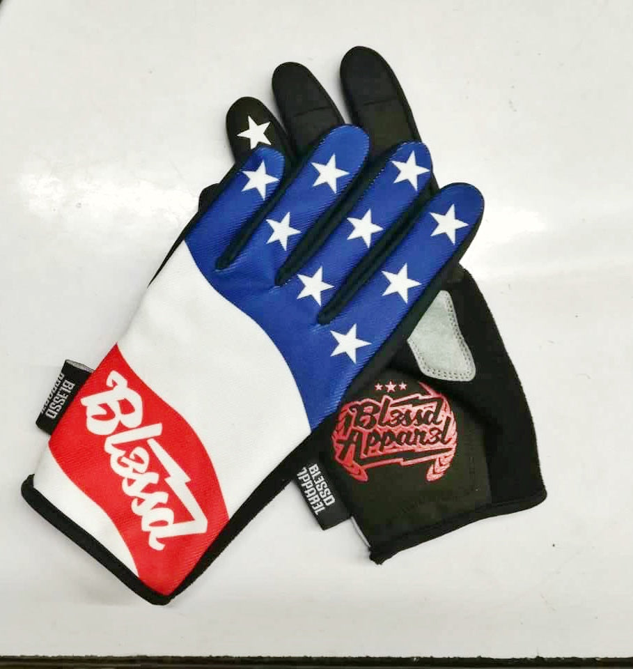 Patriot V2 Moto Gloves